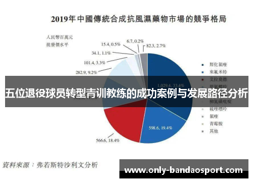 五位退役球员转型青训教练的成功案例与发展路径分析