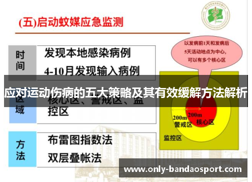 应对运动伤病的五大策略及其有效缓解方法解析