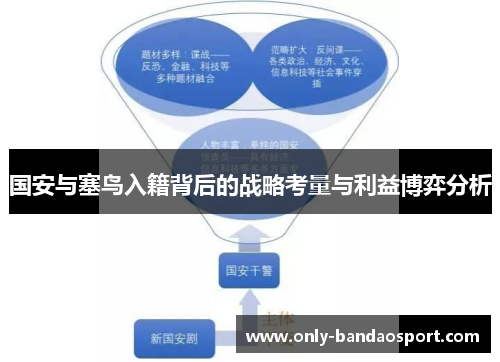 国安与塞鸟入籍背后的战略考量与利益博弈分析