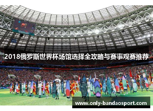 2018俄罗斯世界杯场馆选择全攻略与赛事观赛推荐
