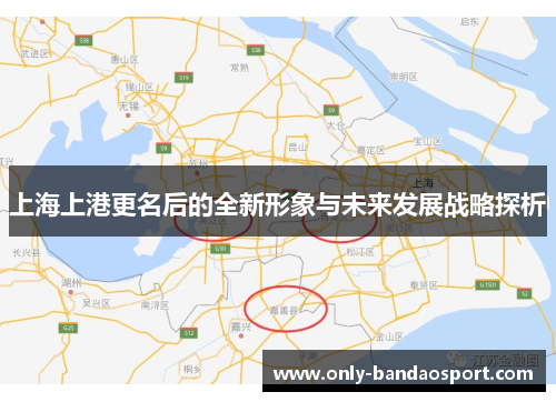 上海上港更名后的全新形象与未来发展战略探析