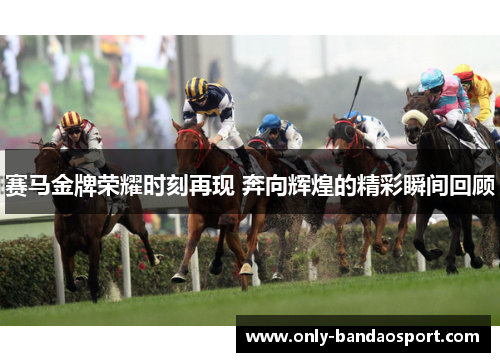 赛马金牌荣耀时刻再现 奔向辉煌的精彩瞬间回顾