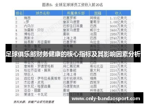 足球俱乐部财务健康的核心指标及其影响因素分析 足球俱乐部财务健康的核心指标及其影响因素分析