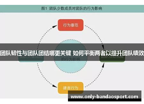 团队韧性与团队团结哪更关键 如何平衡两者以提升团队绩效 团队韧性与团队团结哪更关键 如何平衡两者以提升团队绩效