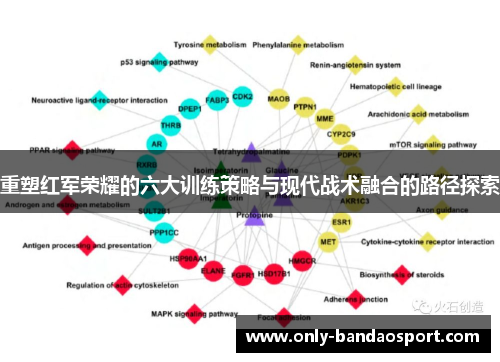 重塑红军荣耀的六大训练策略与现代战术融合的路径探索