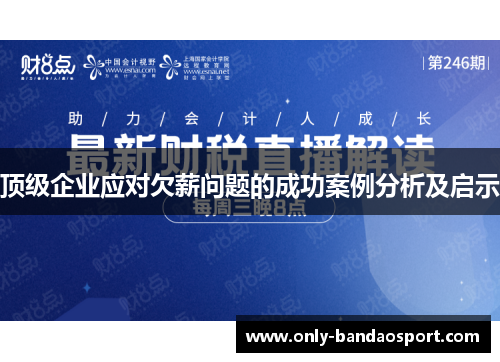 顶级企业应对欠薪问题的成功案例分析及启示 顶级企业应对欠薪问题的成功案例分析及启示